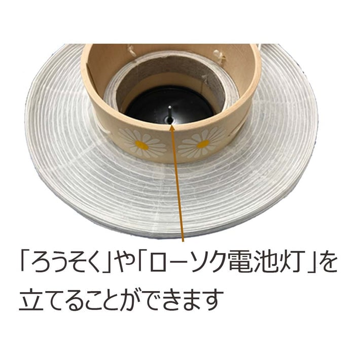 御所 尺寸 白紋天柾