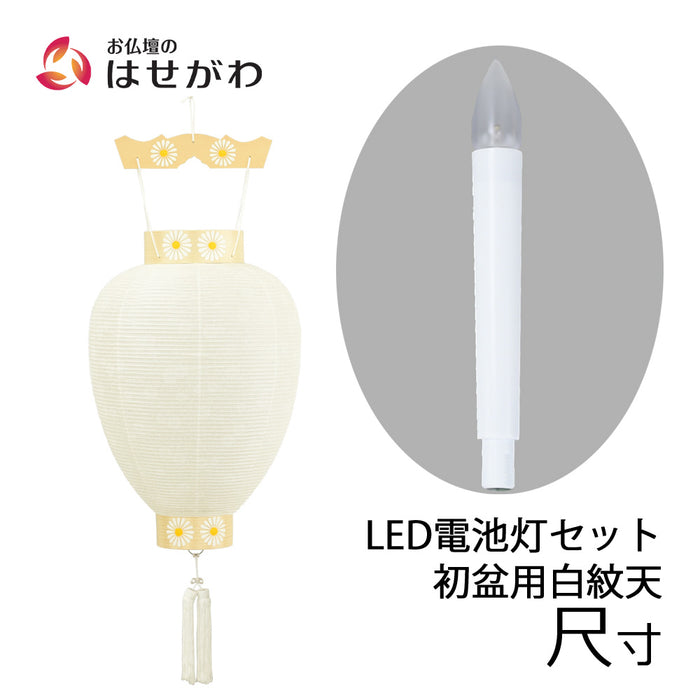 盆提灯 御所 尺寸 白紋天柾 ローソク電池灯 特徴 1