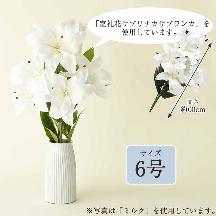 花瓶 カヌレ 6号