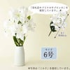 花瓶 カヌレ 6号