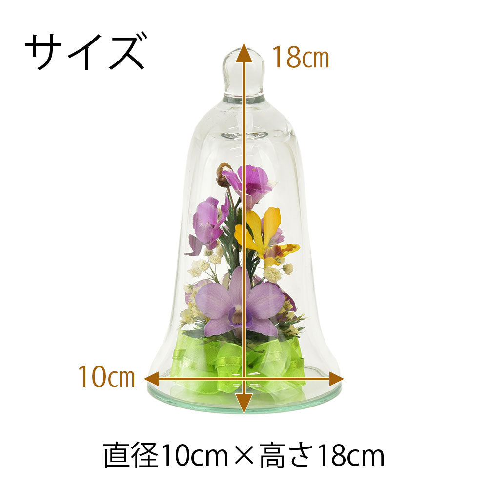 【KPMベルリン】気品あふれるフォルムの花瓶（17cm） ボトルフラワー ベルグラス ラン | お仏壇のはせがわ公式通販