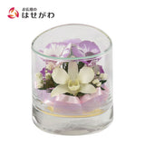 ボトルフラワー トリニティ ラン