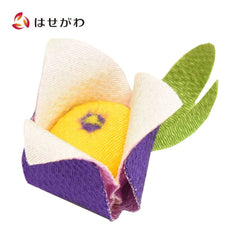 甘美 香の花 花あやめ