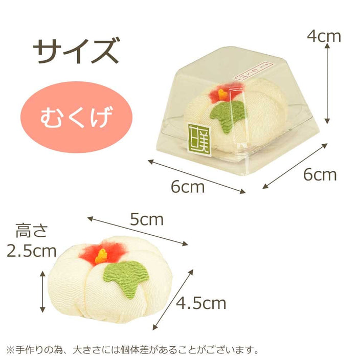 お供え物・お飾り 甘美 香の花 むくげ 特徴 6