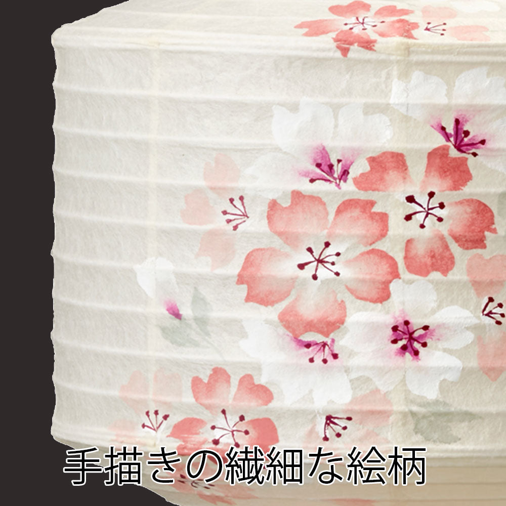 新型 ココラン 古典桜 | お仏壇のはせがわ公式通販