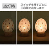 ペット提灯 うさたま