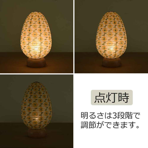 新型 タマゴ HIMAWARI