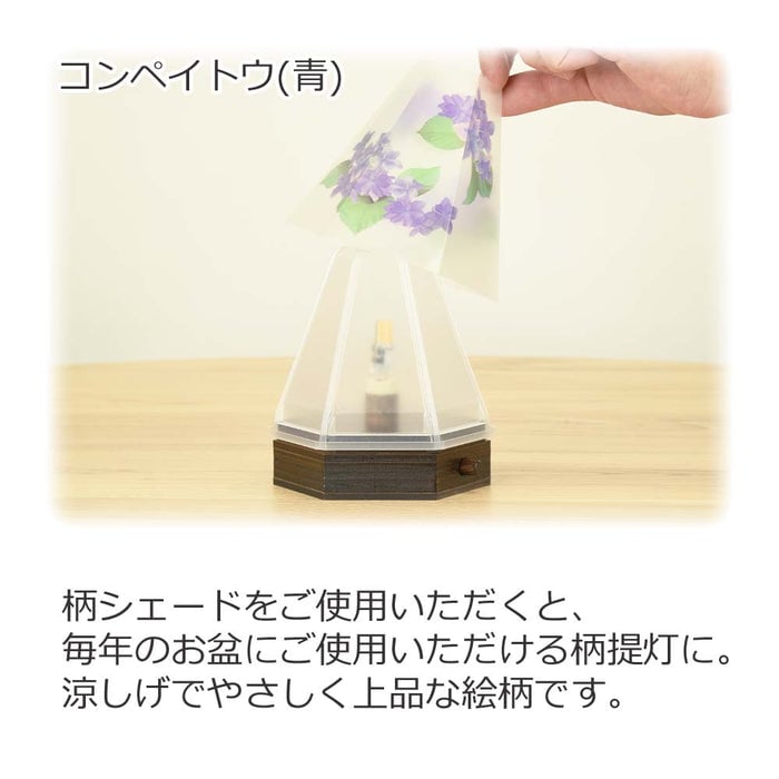 新型 六花灯 コンペイトウ・ハナミズキ