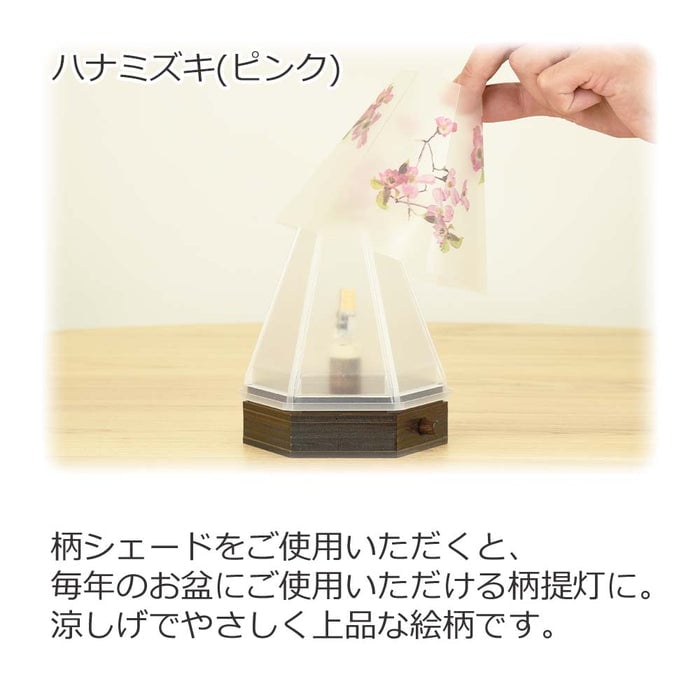 新型 六花灯 コンペイトウ・ハナミズキ