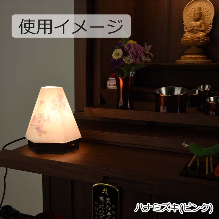 新型 六花灯 コンペイトウ・ハナミズキ