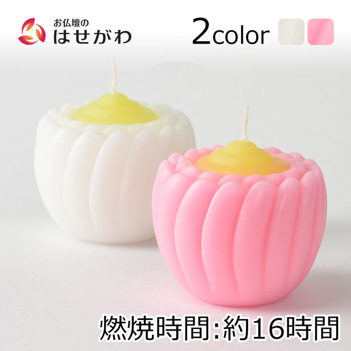 ローソク ローソク ブロンマ 特徴 1