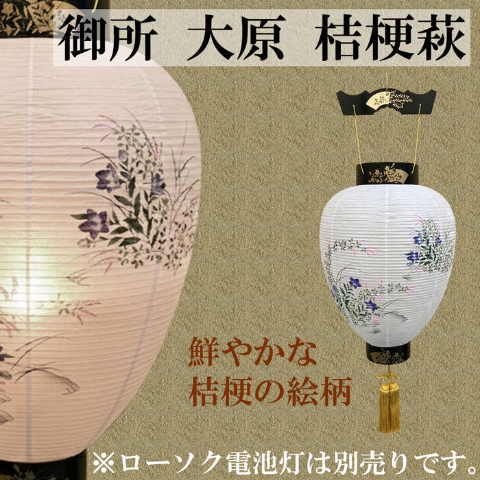 御所 大原 桔梗萩