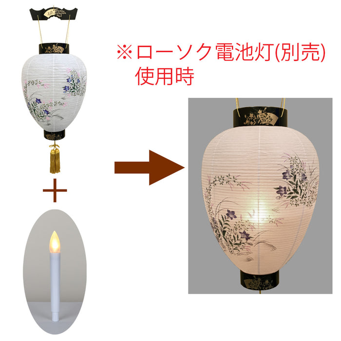 御所 大原 桔梗萩