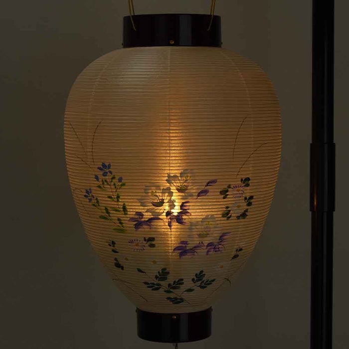 御所 ワイン 絹芙蓉 電池灯付