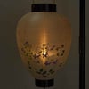 御所 ワイン 絹芙蓉 電池灯付