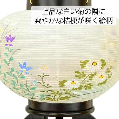 行灯 彩雲の里 10号 絹二重 絵入