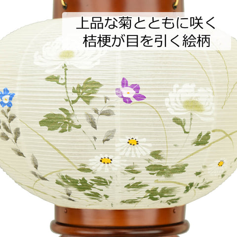 行灯 萩の香 10号 絵入 LED