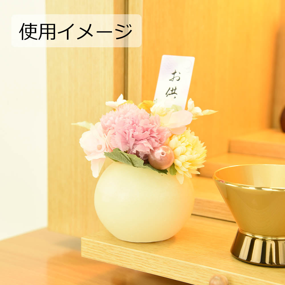 4967116869067d10.jpg?v=1728809653