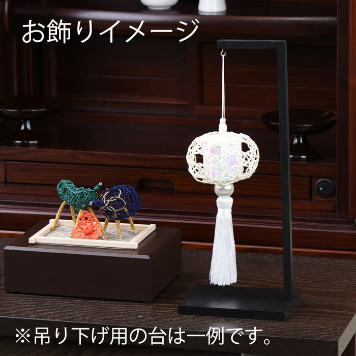 【WEB限定】盆帰郷 白銀 大 台なし