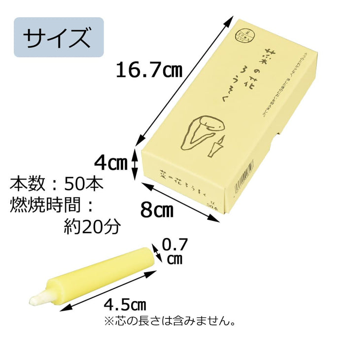 ローソク・キャンドル 菜の花ろうそく 豆 50本入 特徴 2