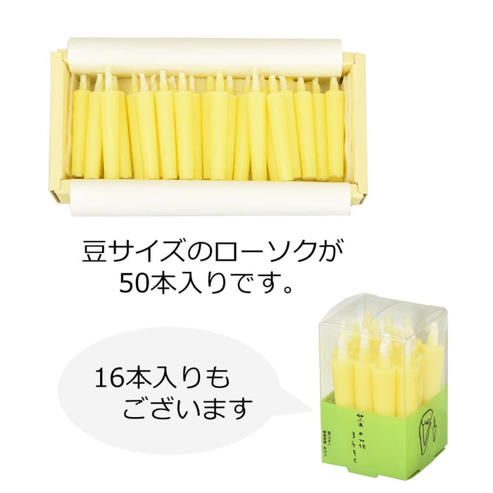 ローソク・キャンドル 菜の花ろうそく 豆 50本入 特徴 3