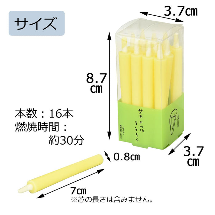 ローソク・キャンドル 菜の花ろうそく 1号 16本入 特徴 2