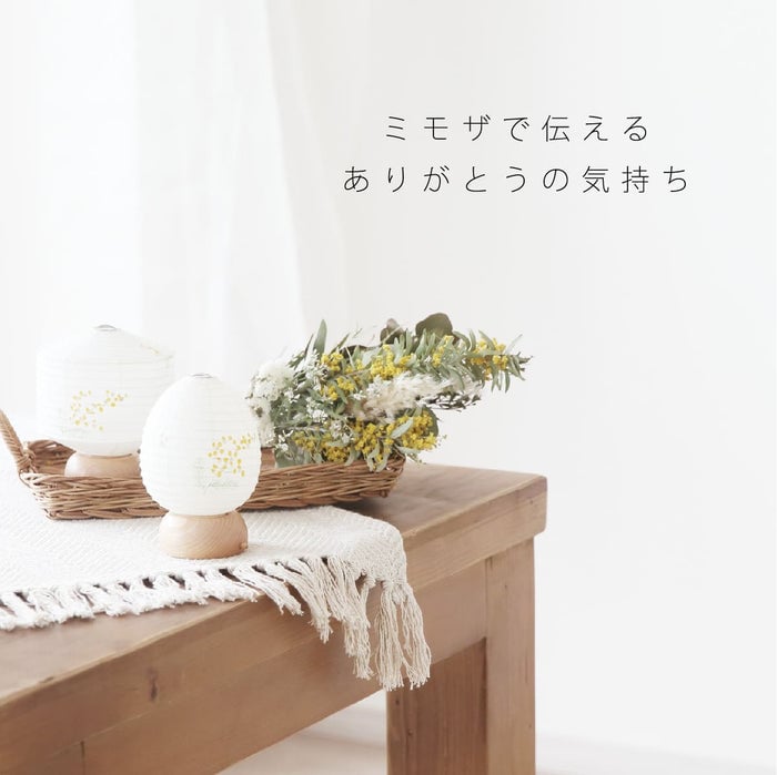 盆提灯 新型 ココラン ツリー