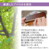 位牌・過去帳 【WEB限定】位牌 心音 CONOTO ライトブラウン色 総丈18.3cm 特徴 13