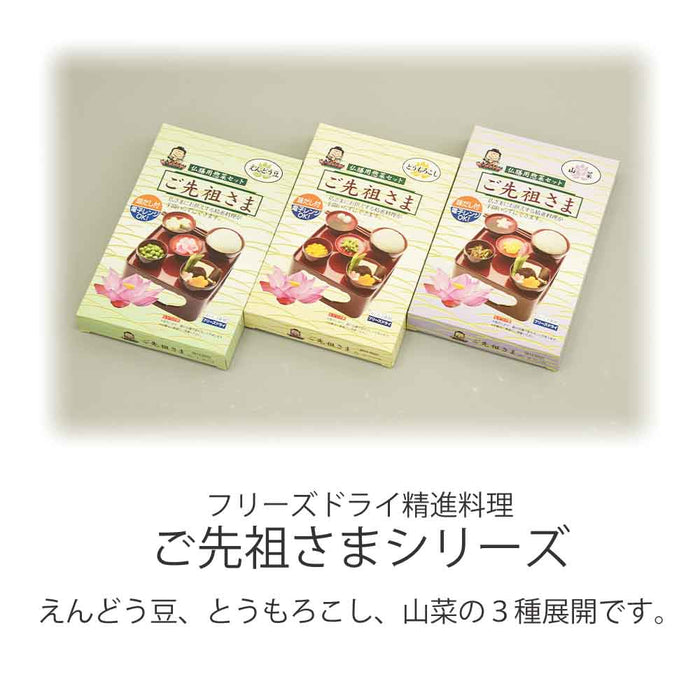 食糧補充　仏語　4枚セット Amazon | パナレーサー(Panaracer) 補修部品 ワンタッチポンプ用