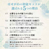 【WEB限定】初盆セット コンパクト 3点セット 1-A