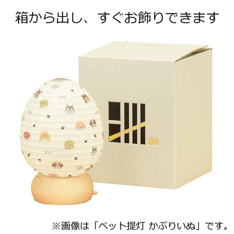 ペット提灯 さかにゃ