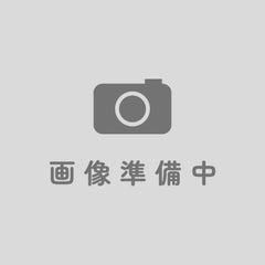 仏壇 華宝 吊宮殿 (かほう つりくうでん) 黒檀 高さ170cm