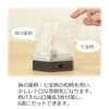 新型 六花灯 コンペイトウ・ハナミズキ
