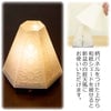 新型 六花灯 コンペイトウ・ハナミズキ