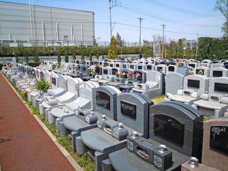 0011010020_03_150912_0.jpg?v=