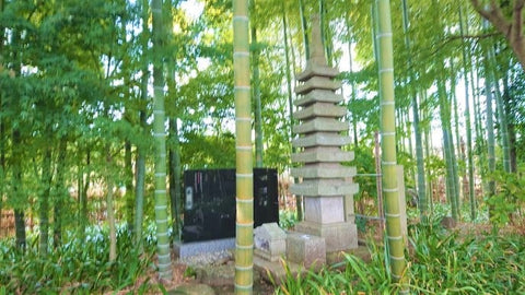 日本庭園陵墓紅葉亭