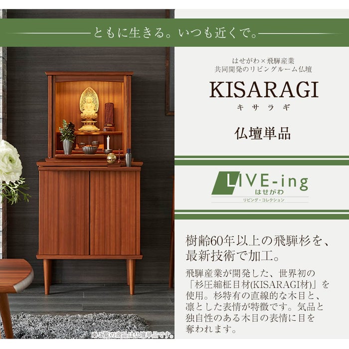 KISARAGI 杉 H49cm