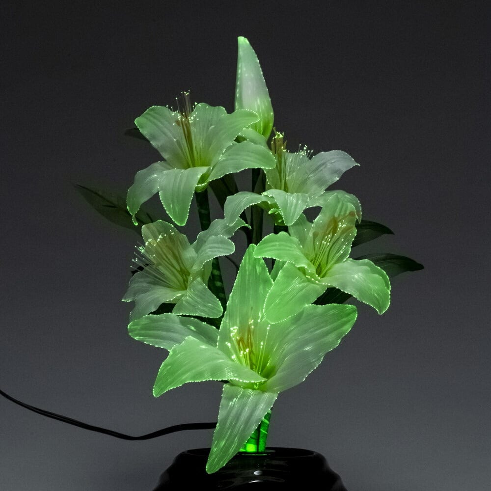 2927063610008s12.jpg?v=1768801663