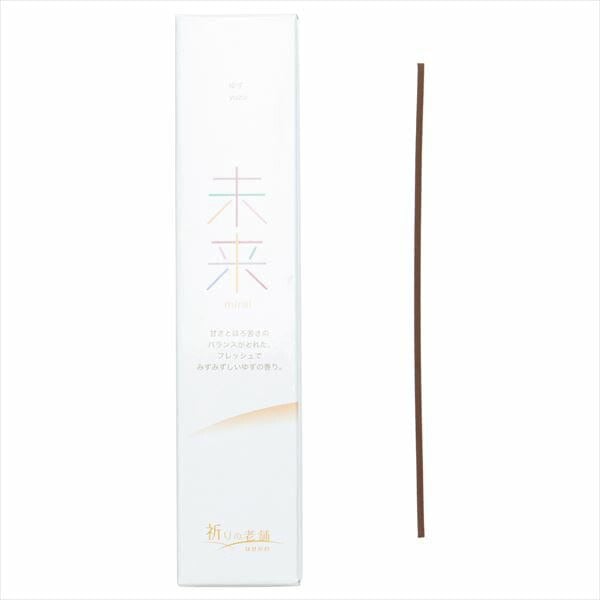 未来 ゆず ｒｅｇｕｌａｒ 特徴2