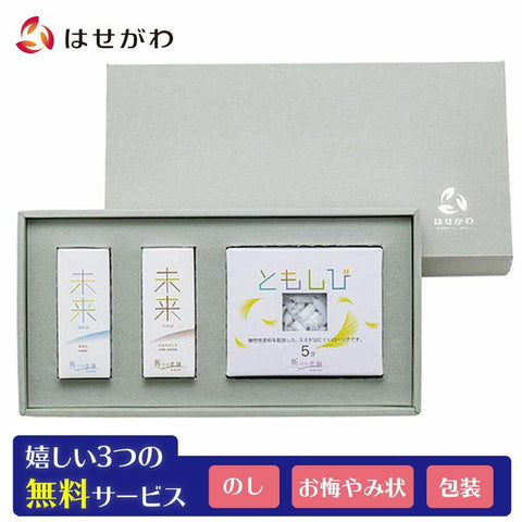 進物 ギフト 未来 ｍｉｎｉ×ともしび 特徴1