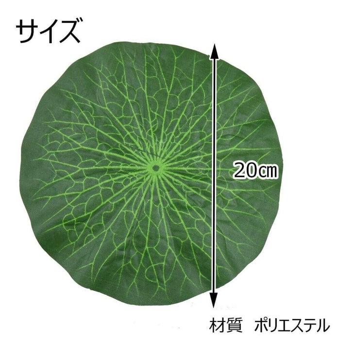 お盆用品 蓮の葉 特徴 3