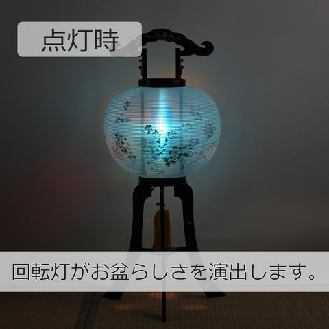 回転 11号 撫子ワイン