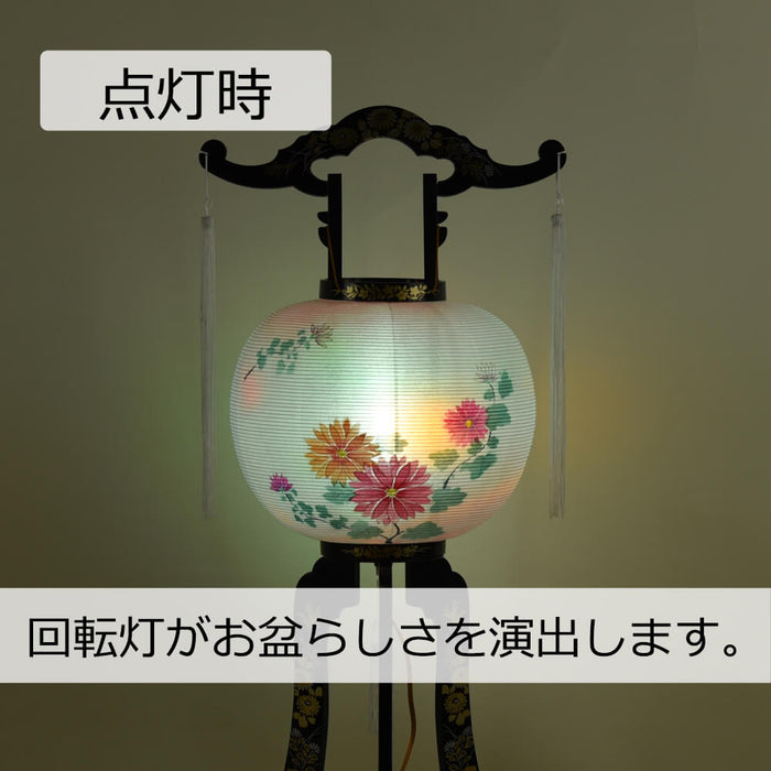 盆提灯 回転 山月 12号 菊ボカシ 特徴 4