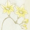 盆提灯 新型 京あかり ひらり 特徴 3