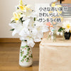 花瓶 サンキライ 8号 特徴2