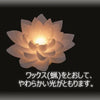 仏具 LEDワックスベース睡蓮 (化粧箱入) 特徴 2