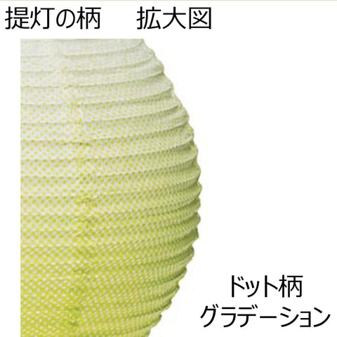 新型 まりあかりⅡ グリーングラデ 対 特徴6