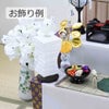 盆提灯 新型 ツイストスタンド 春雨紙 特徴 5