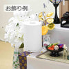 新型 レース和紙スタンド 花麻 白