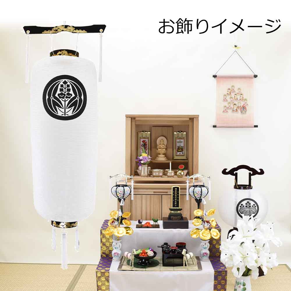 デュエマ】青白天門【デッキ紹介】｜鬼辻デュエマ部